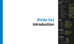 Introduction to the IPinfo CLI